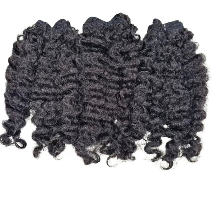 Burmese Curly