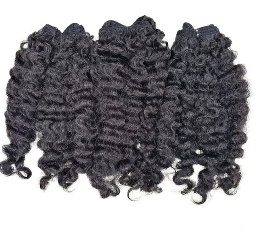 Burmese Curly